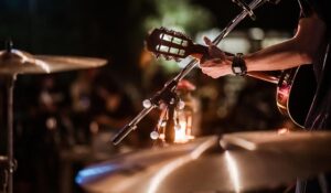 Musicians